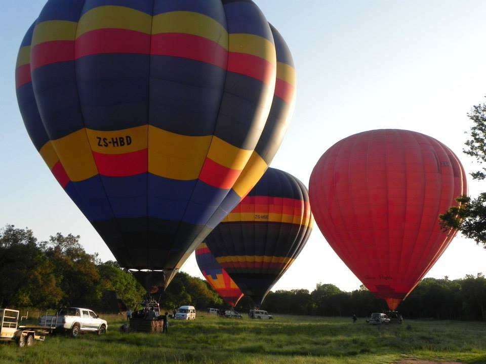 Hot air balloons preparing for launch in a grassy field